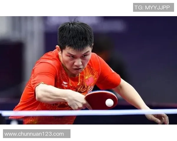 乒乓球战术解析：深入探讨北京乒乓球队的盯防体系与实战应用