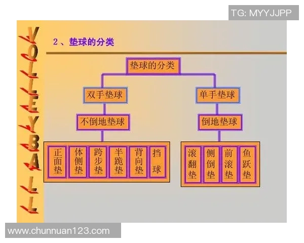上海排球队快攻战术解析与深度剖析排球技术的魅力与挑战