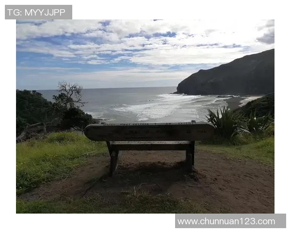 深度对话：刘丽如何在网球赛场上追逐梦想与挑战人生