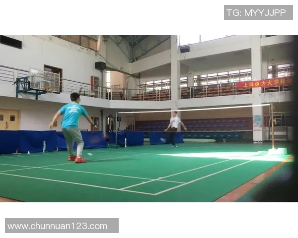 深入分析上海羽毛球队阵地战打法的战术特点与应用策略