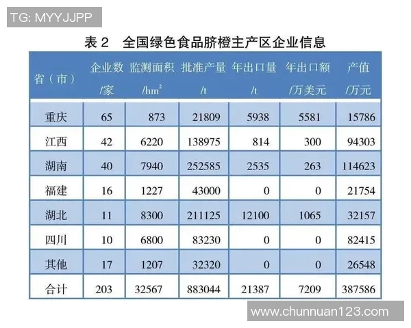 重庆羽毛球队配合策略深度解析与其他球队的比较分析