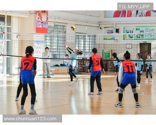 深度对话：陈娜如何在排球赛场上书写自己的传奇人生