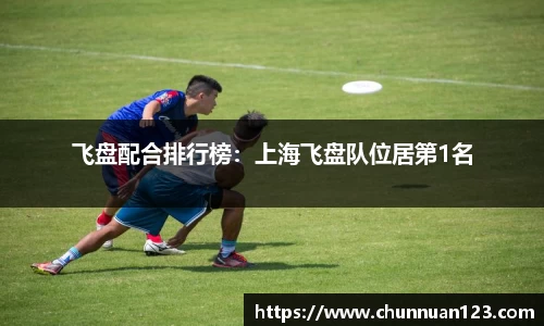 飞盘配合排行榜：上海飞盘队位居第1名