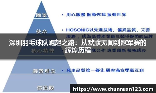 深圳羽毛球队崛起之路：从默默无闻到冠军赛的辉煌历程